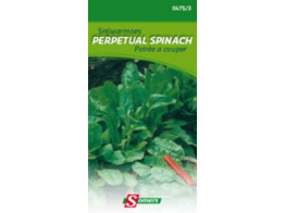 Snijwarmoes Perpetual Spinach