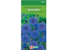 Centaurea Korenbloem Blue Boy