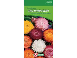 Strobloemen Dubbel Helichrysum