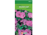 Lavatera Silver Cup