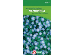 Nemophile Insignis Blauw