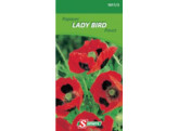 Papaver Lady Bird