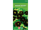 Tropaeolum Black Velvet