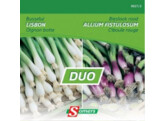 Duo Ajuin Bussel Wit Rood