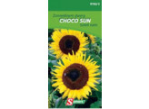 Zonnebloem Annuus Choco Sun