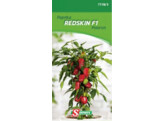 Paprika  Redskin F1