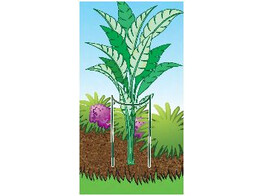 Nature Plantensteun met boog