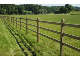 Paardenomheining grenen