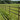 Paardenomheining Windsor - Groen - Plank - 50X100 - L 350CM
