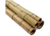 Bamboe  90 cm lang -  8/10 mm  