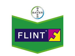 Flint 50WG - Erk.nr. 9144P/B - 600 gr