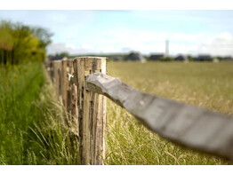 Post en Rail brute paal