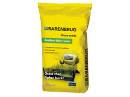 Graszaad speelgazon Resilient Blue Lawn  tough   easy 