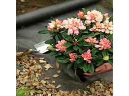 Geotextiel Plantex Premium