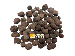 Argex hydrokorrel 8/16 mm  rond    Frans Agro