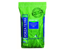 Graszaad sportgazon Forza Tetra met headstart 10 kg