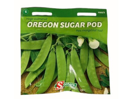 Sluimerwt Oregon Sugar Pod 25g