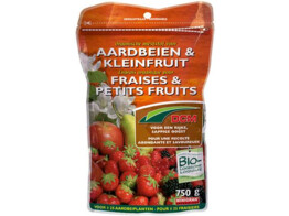 DCM Aardbeien   Kleinfruit 6-5-10  MG 