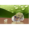 Waterkristallen Stockosorb 660 Medium  1/2 mm  - 25 kg
